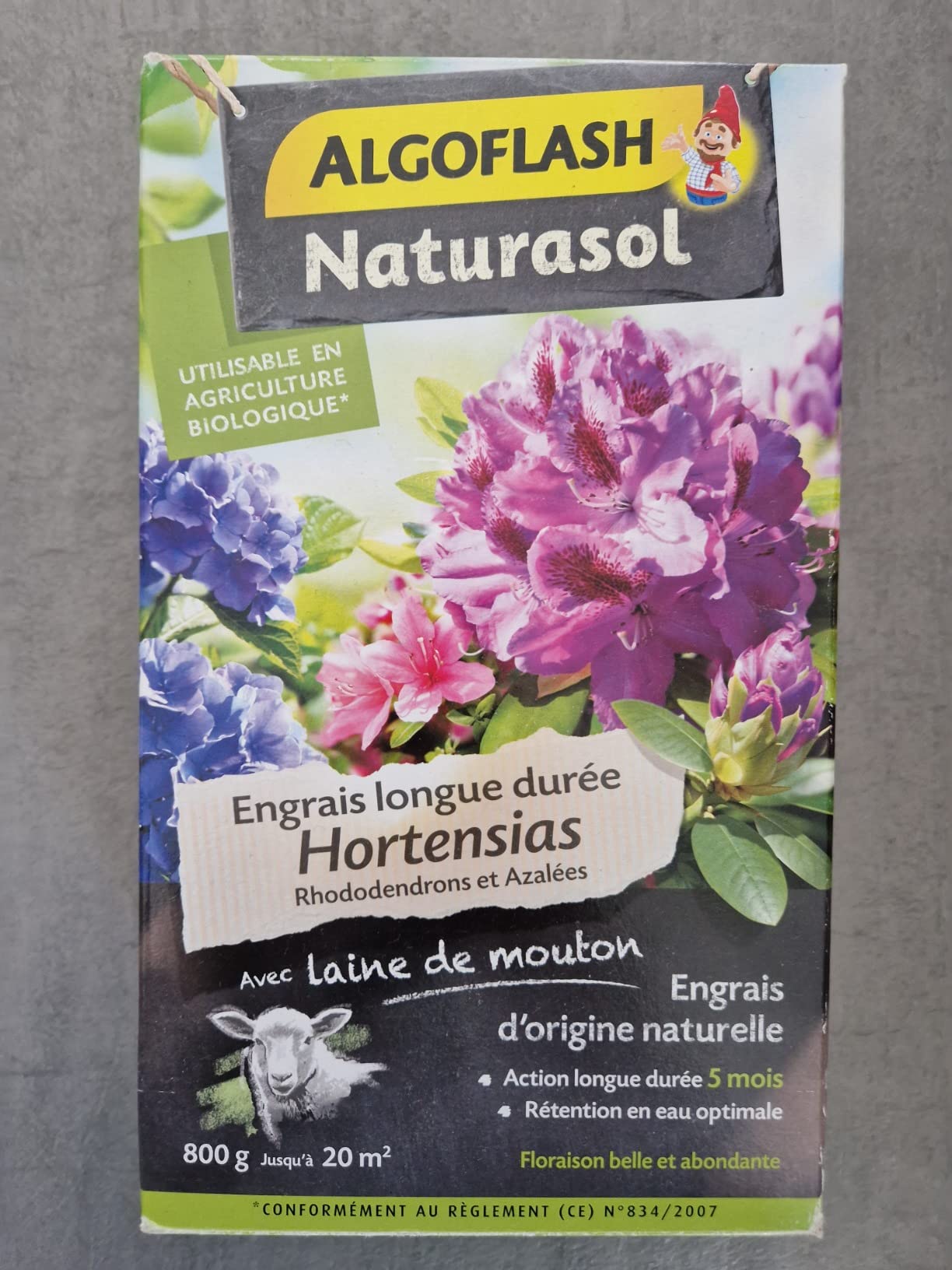 Mes hortensias bleus sont revenus