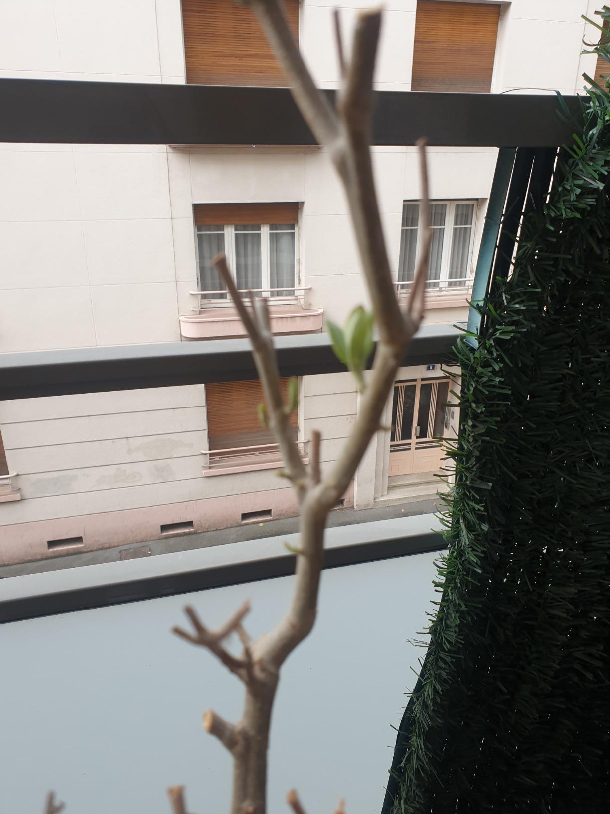 Bon engrais complet