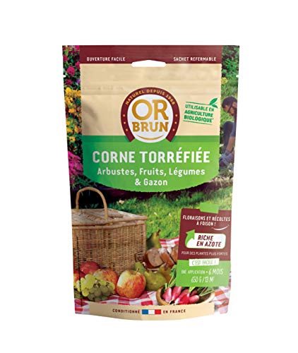 or-brun-corne-torr-fi-e-uab-650-g-l-authentique image 5