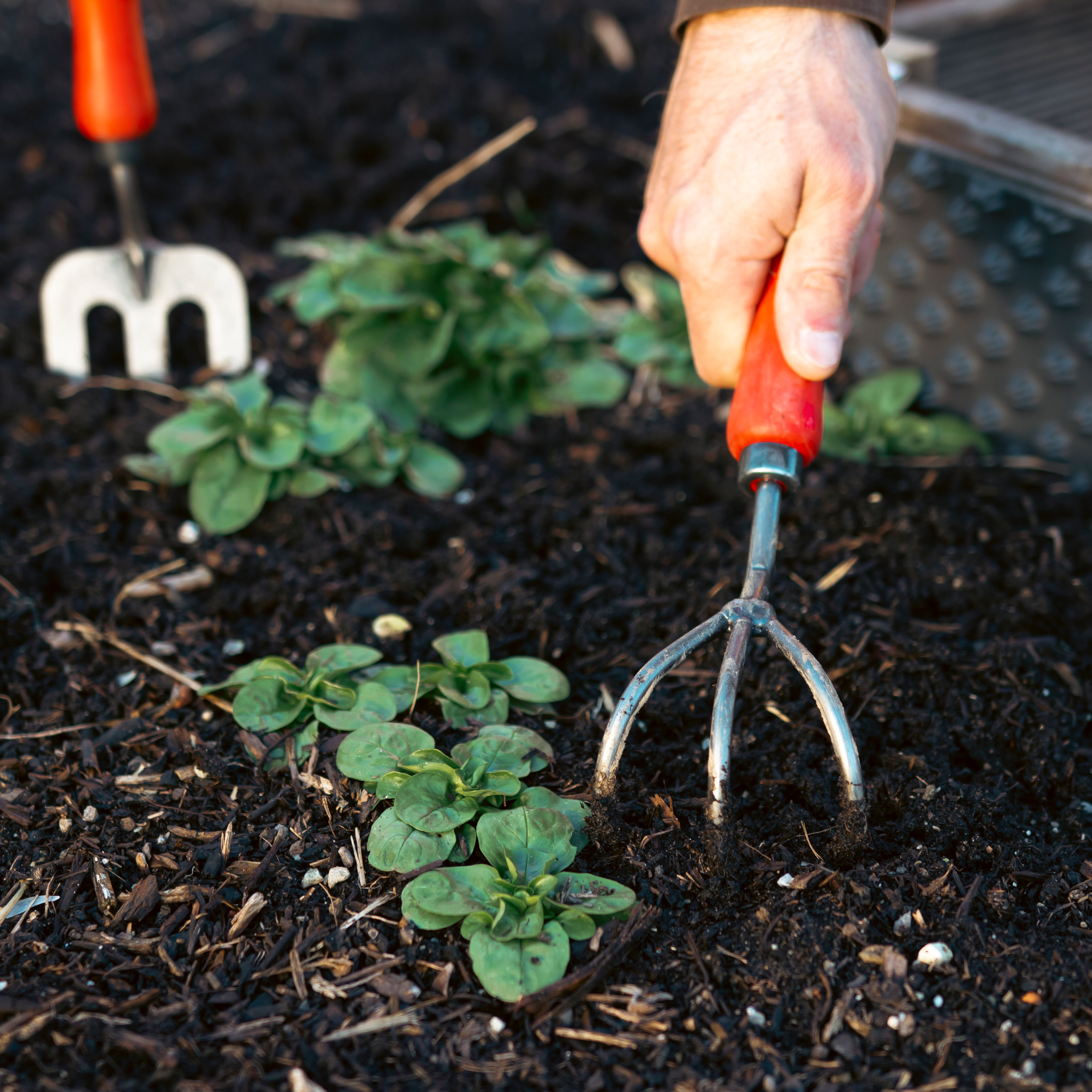 felco-411-cultivateur-de-jardinage-pour-a-ration-et-d-sherbage image 3