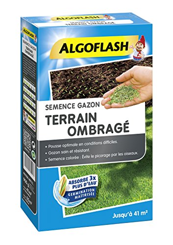 algoflash-semences-gazon-terrain-ombrag-800-g image 8