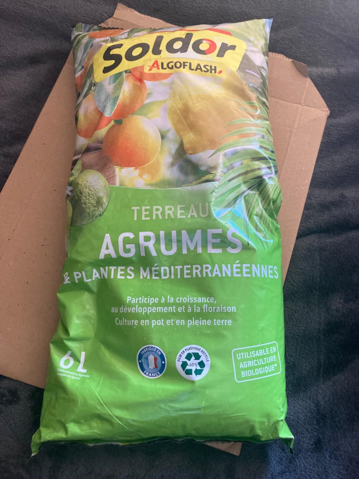 Bon terreau drainant pour agrumes