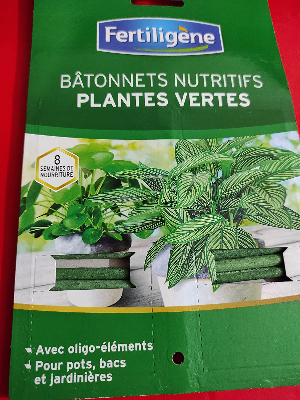 Je recommande pour débutants