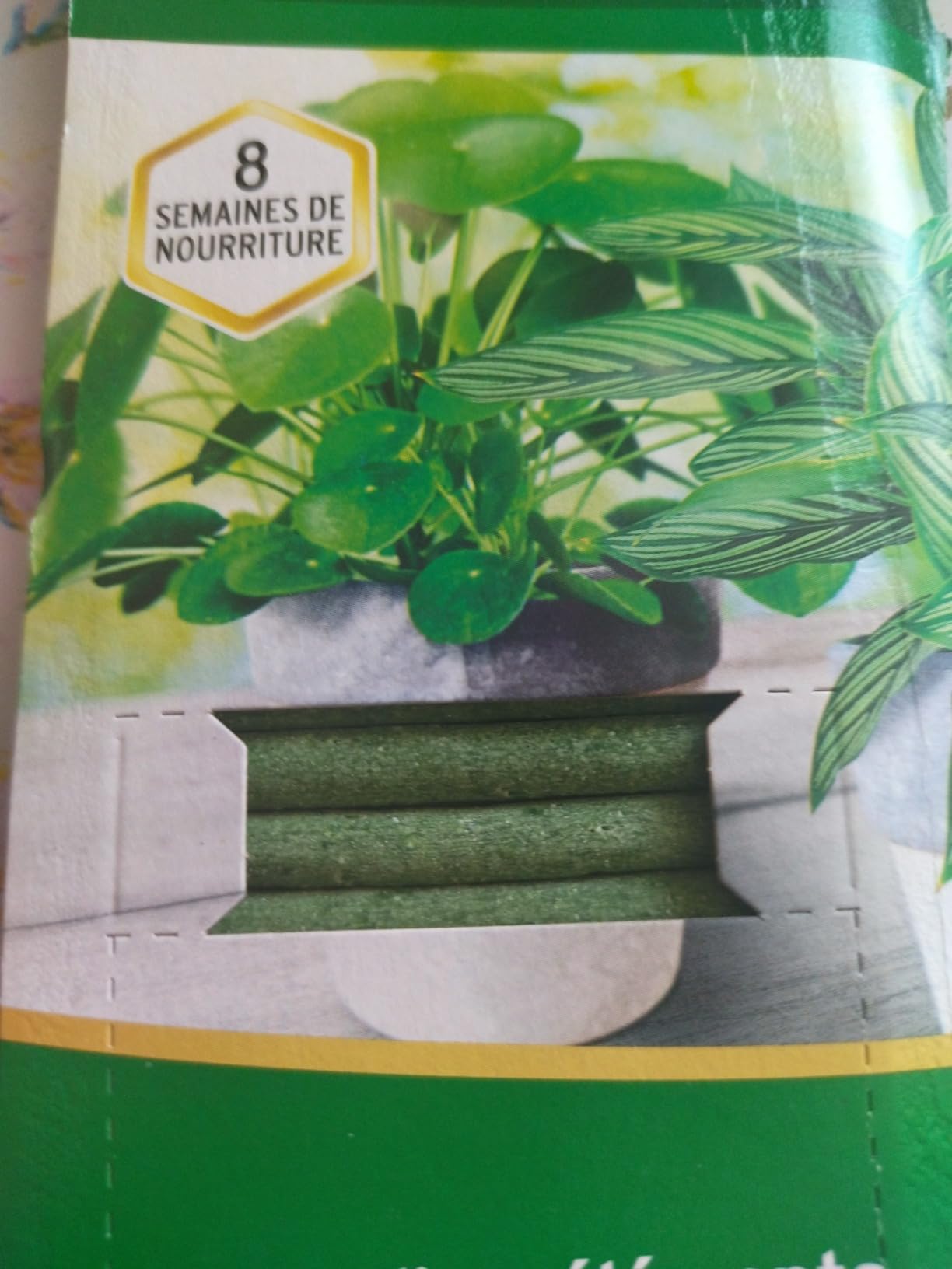 Mes plantes adorent