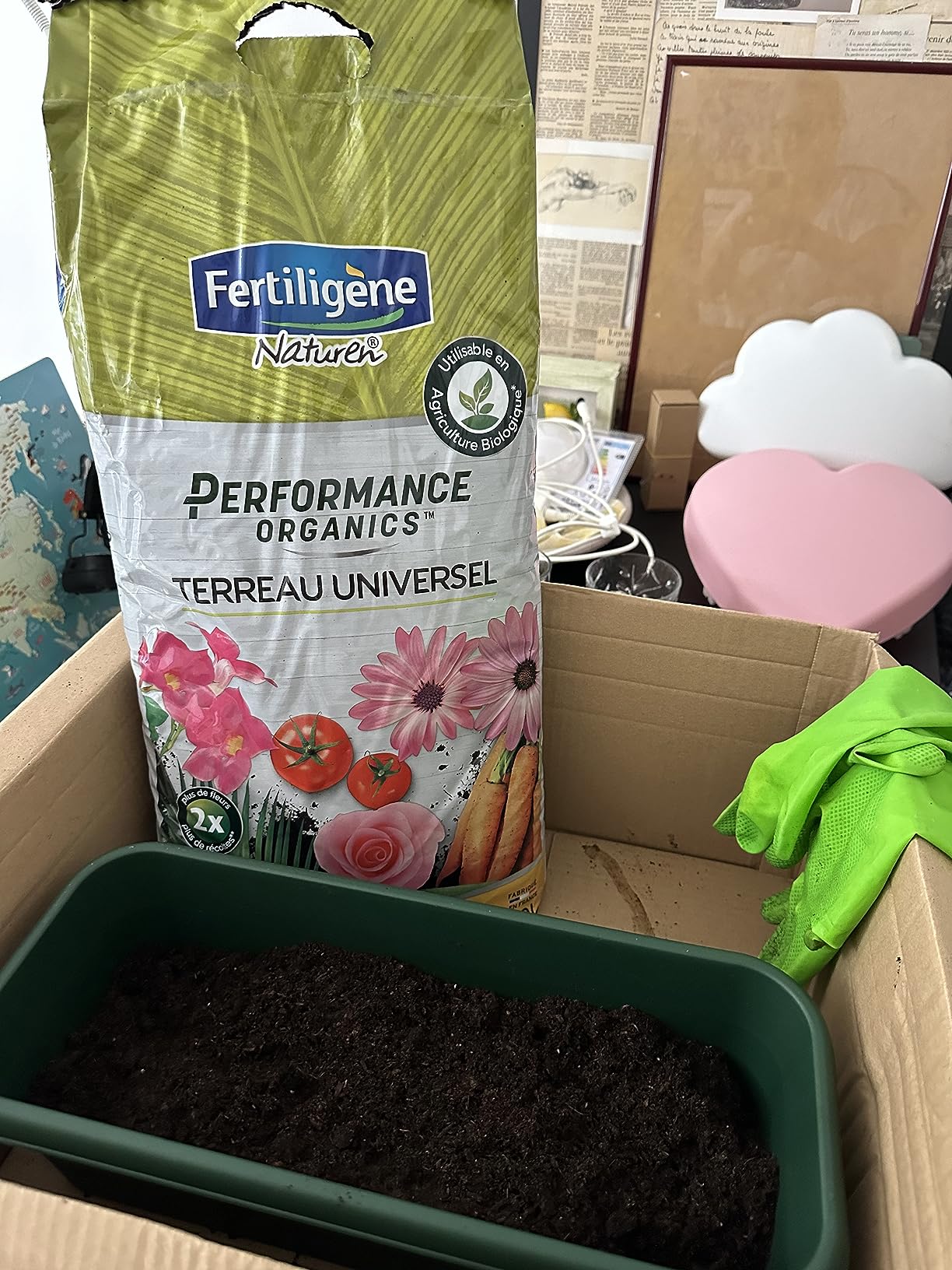Mes jardinières revivent