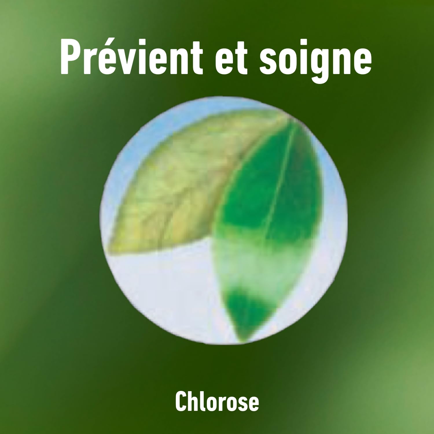 algoflash-naturasol-bioclopretan-anti-chlorose-reverdissant-750-ml image 6