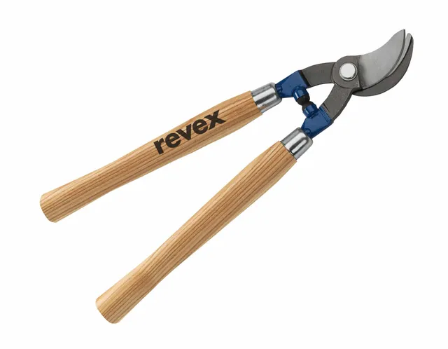 revex-les-authentiques-s-cateur-laguer image 1