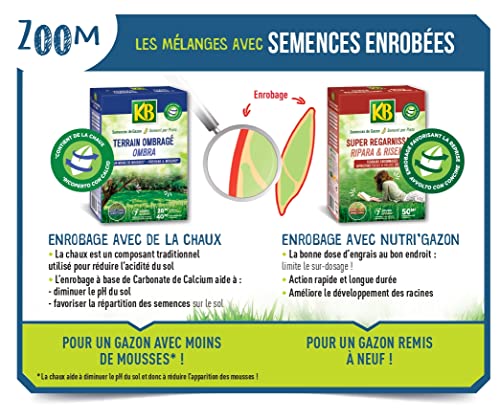 fertilig-ne-gazon-super-regarnissant-5-kg-pour-250-m image 7