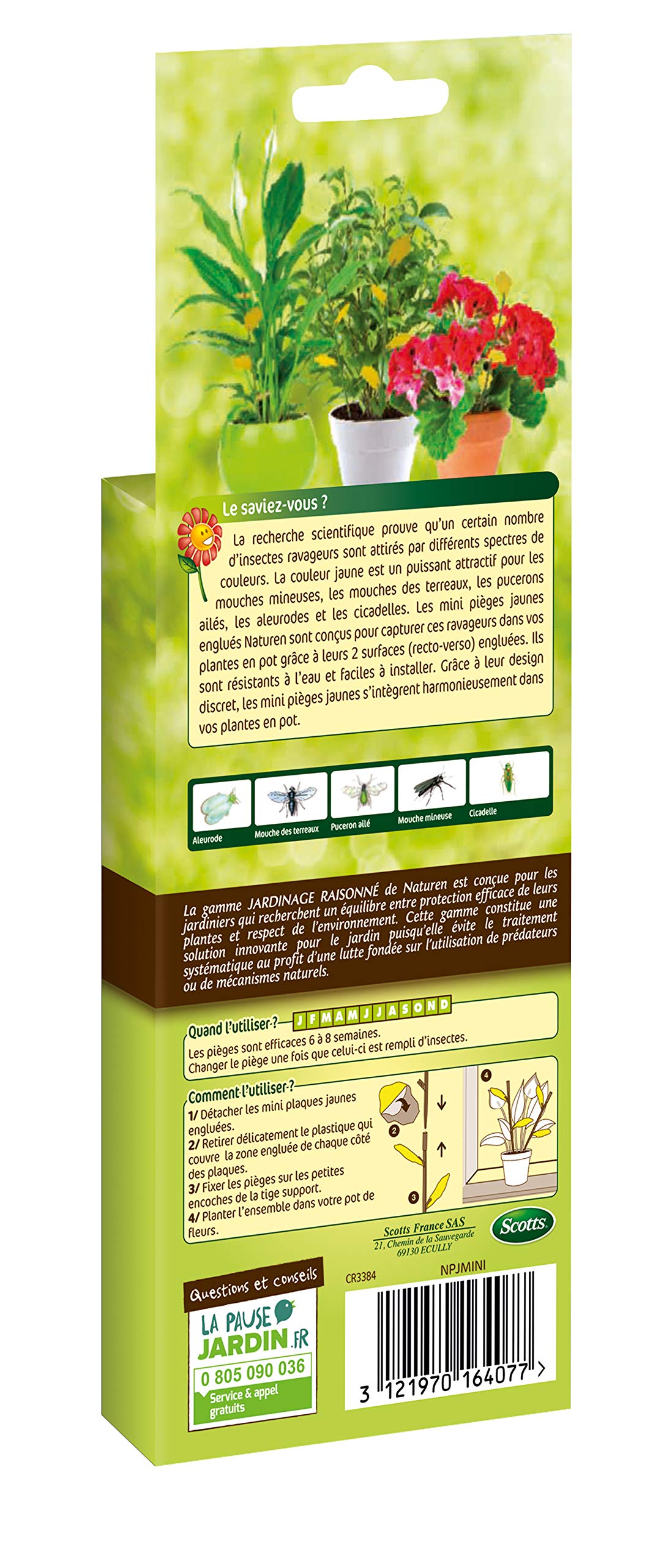 fertilig-ne-naturen-npjmini-mini-pi-ges-jaunes-englu-s-x12-6-supports image 2