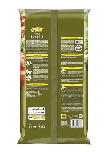 algoflash-tbonz6-terre-bonsa-s-pr-t-l-emploi-6-l-uab image 7