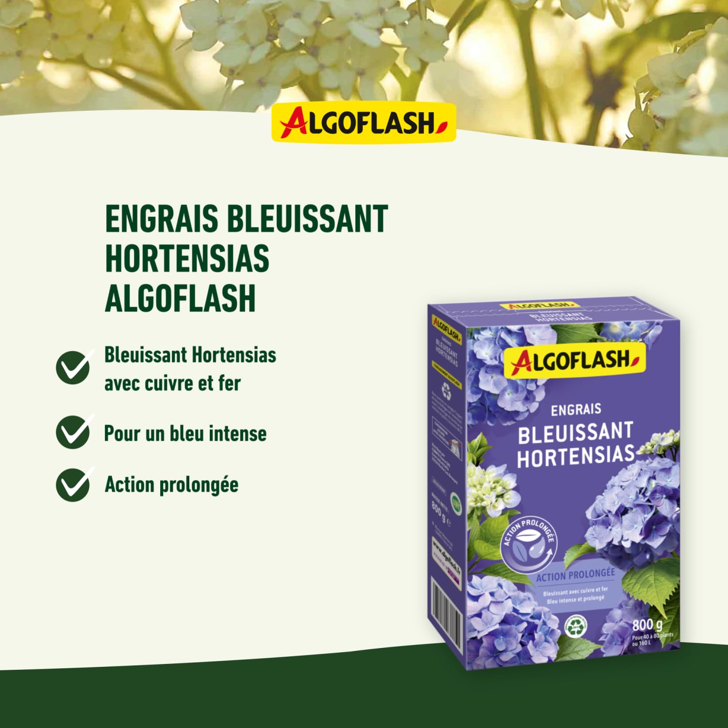 algoflash-engrais-bleuissant-hortensias-action-prolong-e-800-g image 3