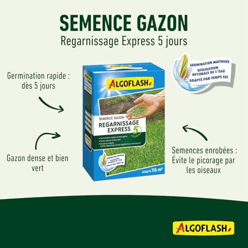 algoflash-semences-gazon-regarnissage-express-5-jours-2-5-kg image 8