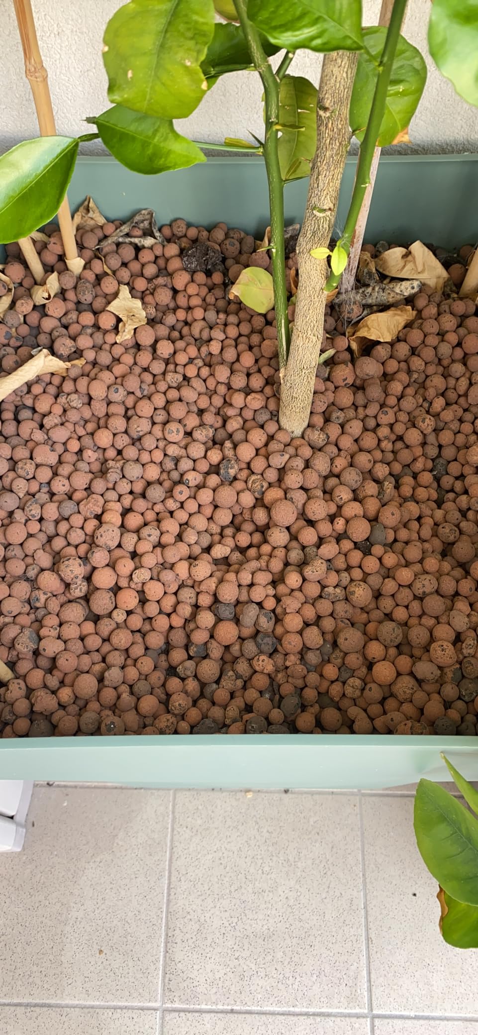 Indispensables pour mes pots