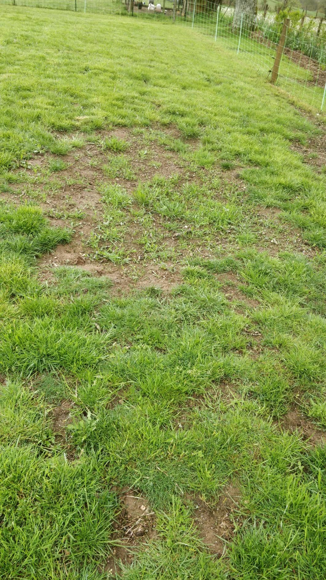 Bonne germination