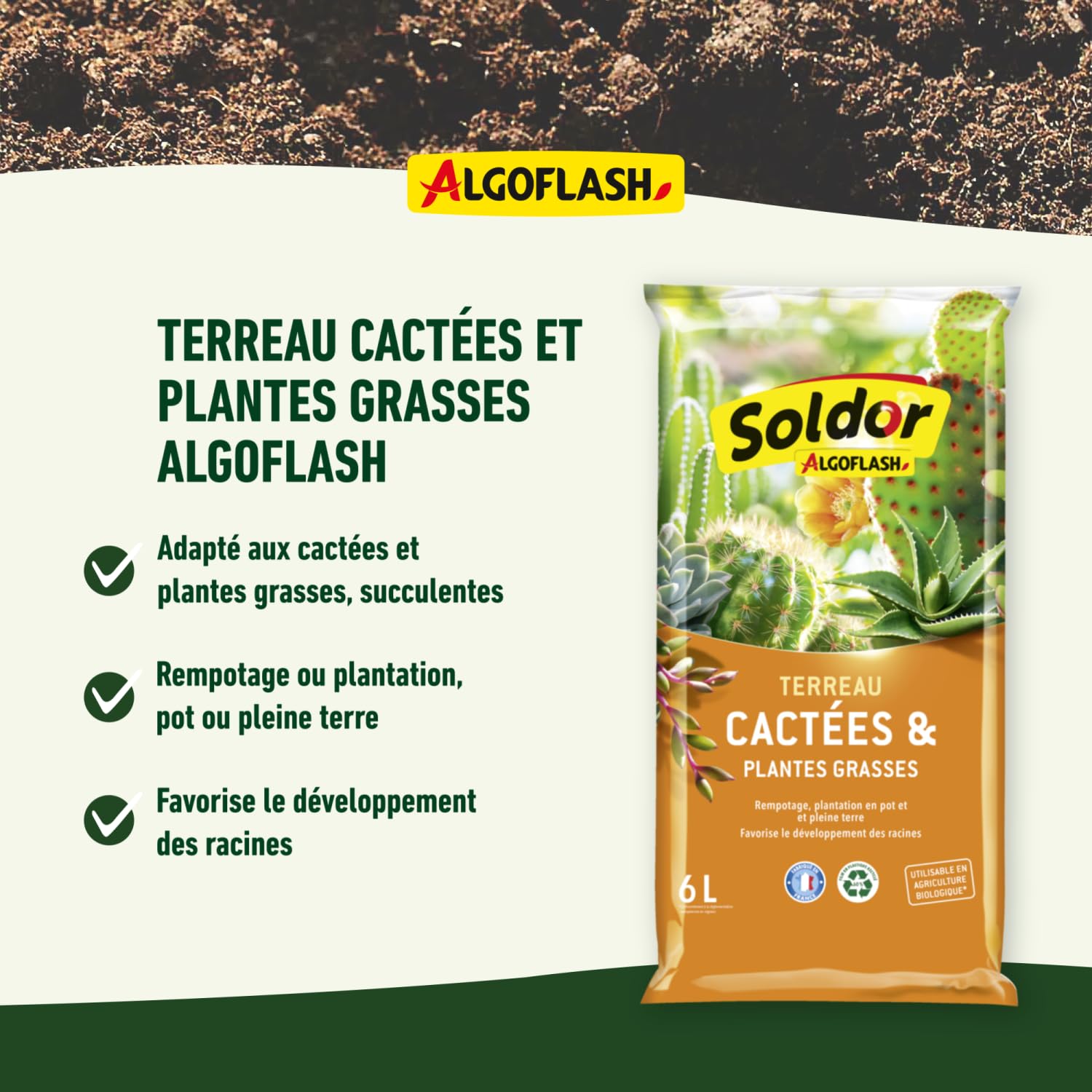 algoflash-terreau-cact-es-et-plantes-grasses-uab-6-l-tcac6 image 3