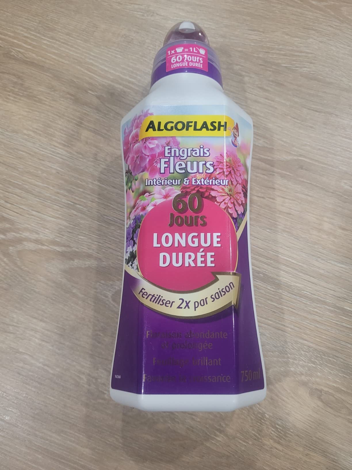 bluffant sur mes orchidées et bégonias