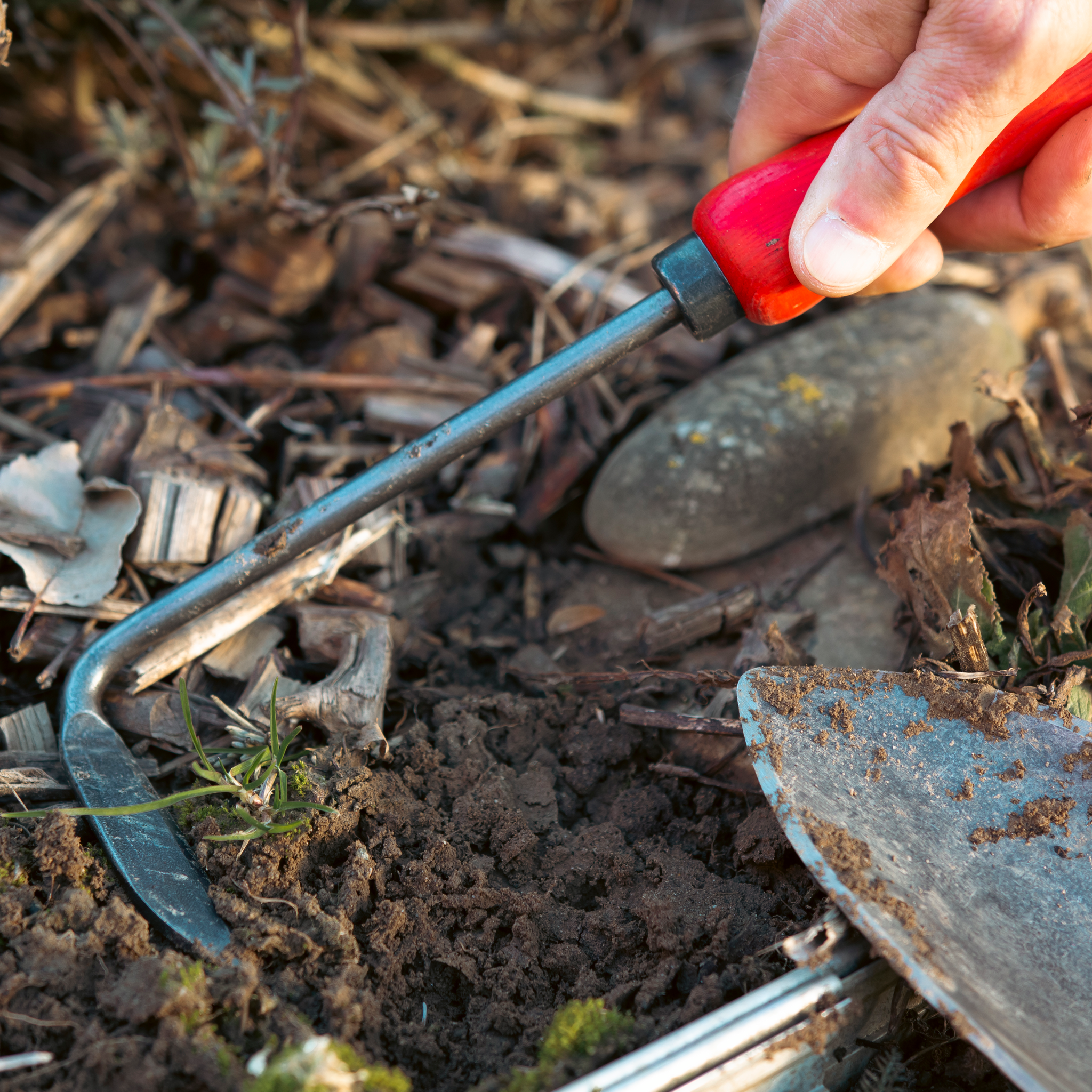 felco-421-outil-de-jardin-forg-main-pour-potager-nourricier image 4