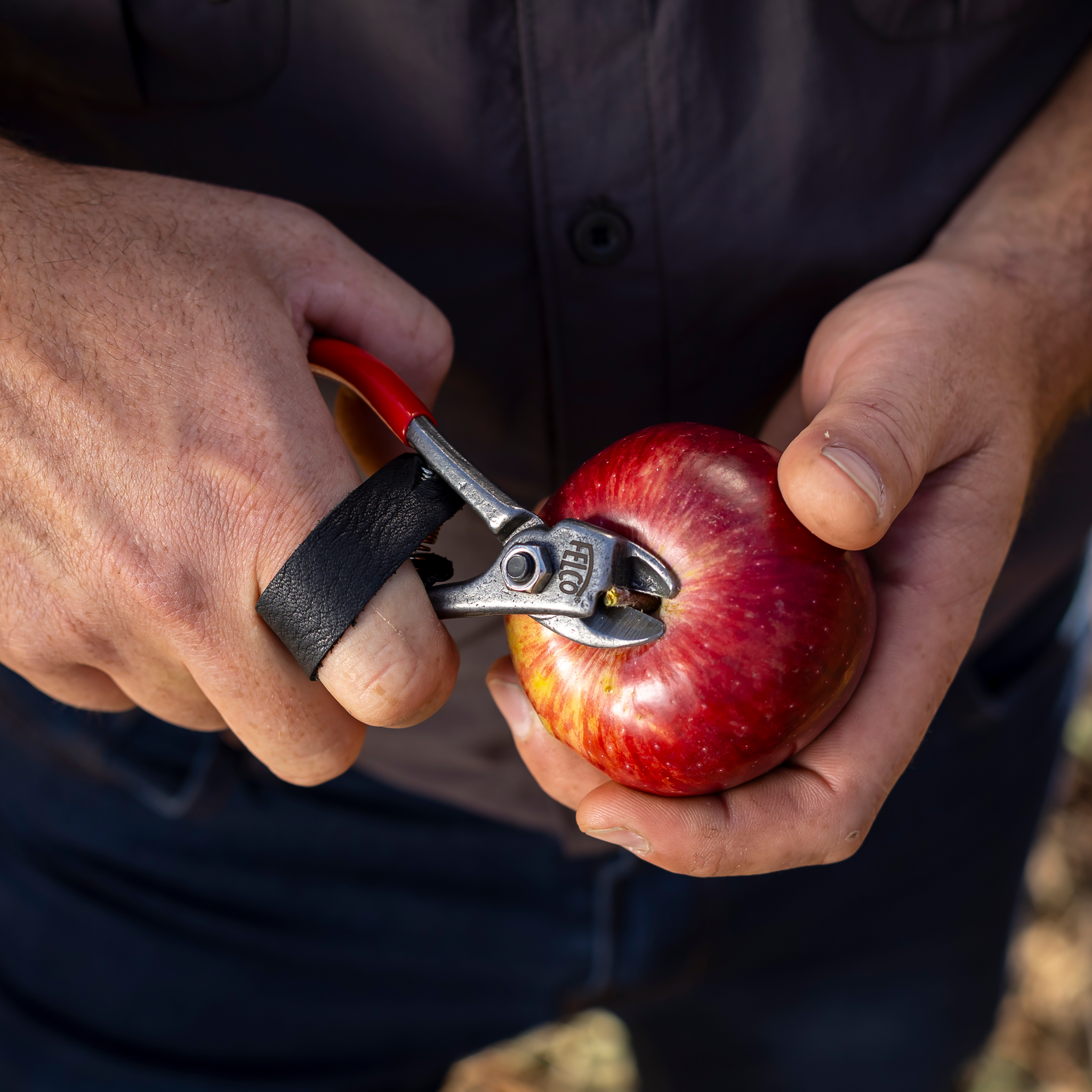 felco-330-coupe-fruits-s-cateur-r-colte-snips image 2