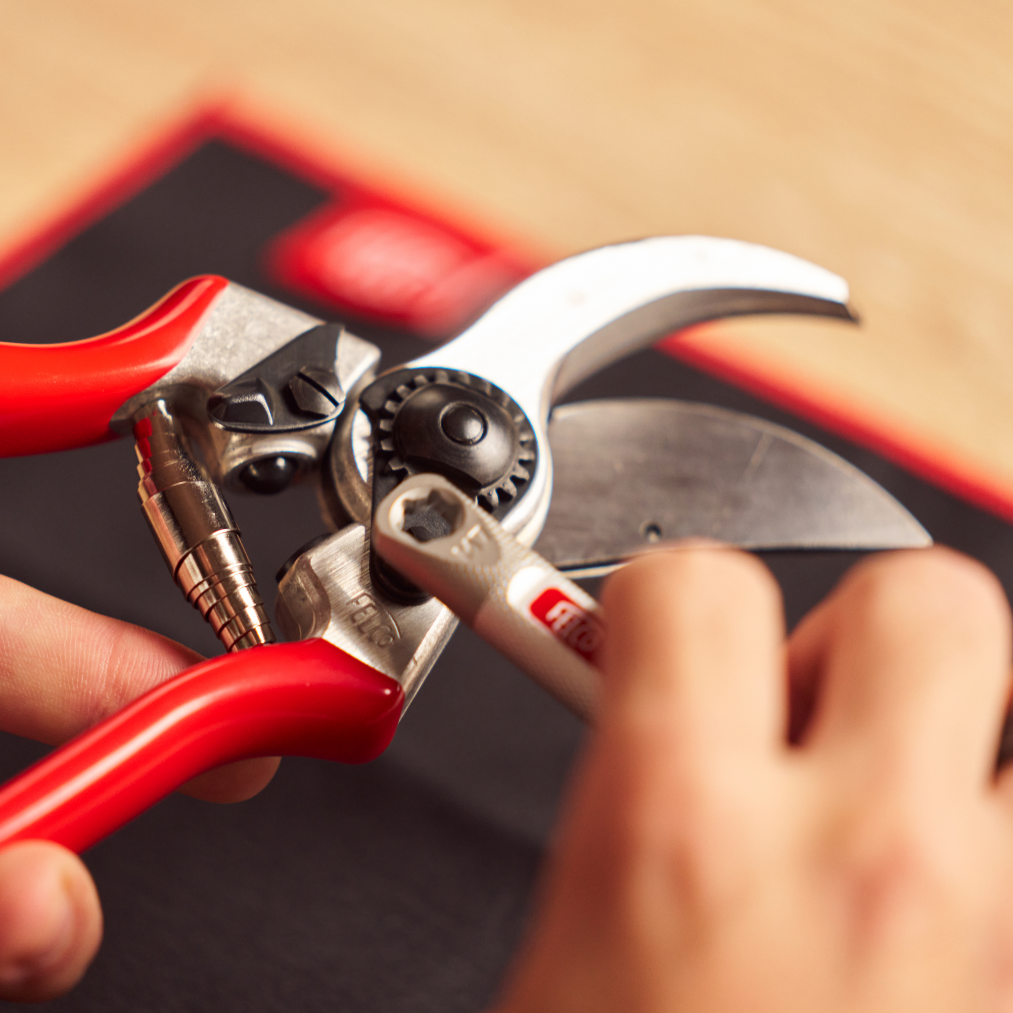 felco-atelier-kit-pour-construire-son-s-cateur-felco-2 image 4