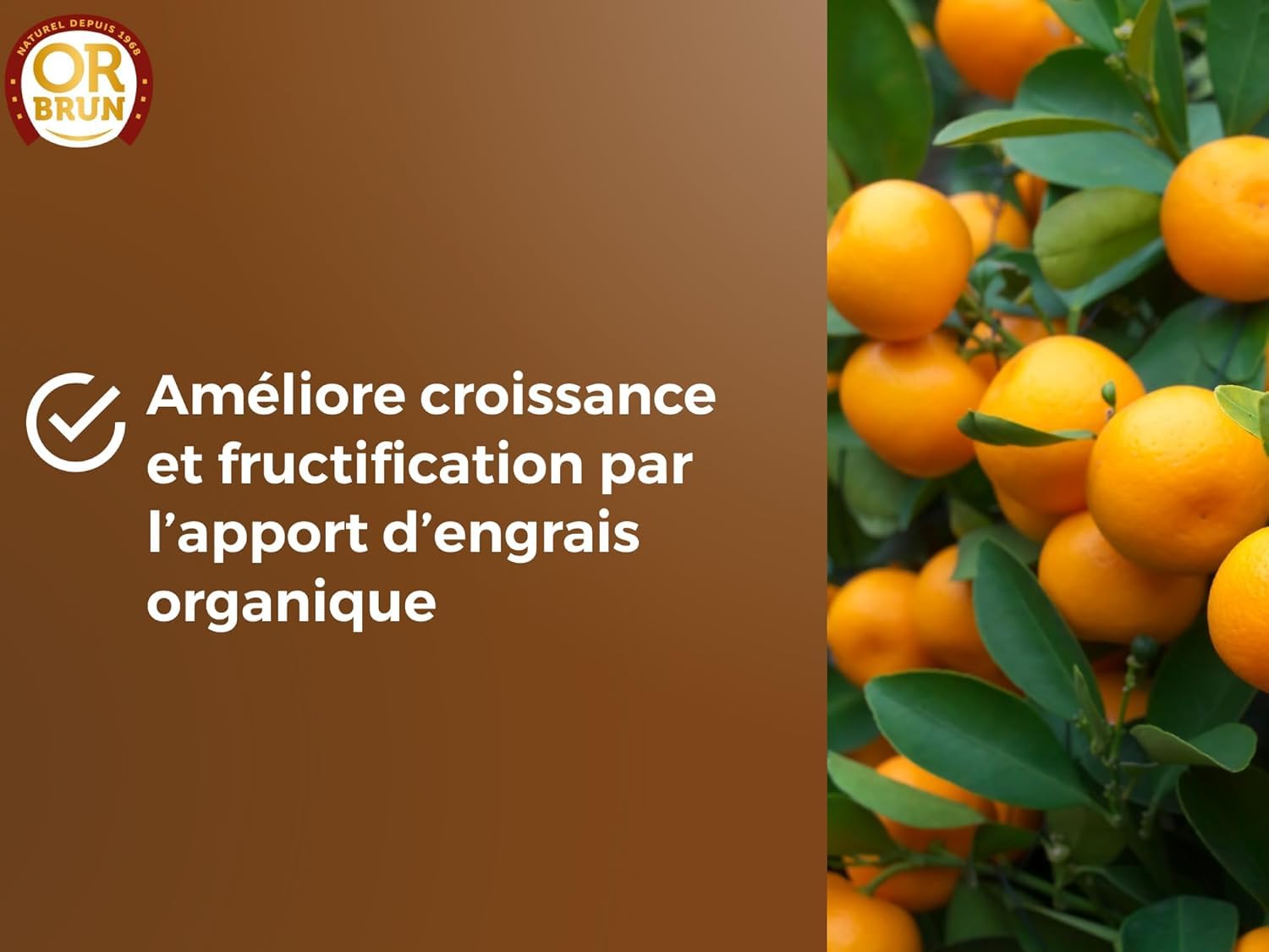 or-brun-terreau-agrumes-20-l-drainant-pouzzolane-citronniers-en-pot image 4