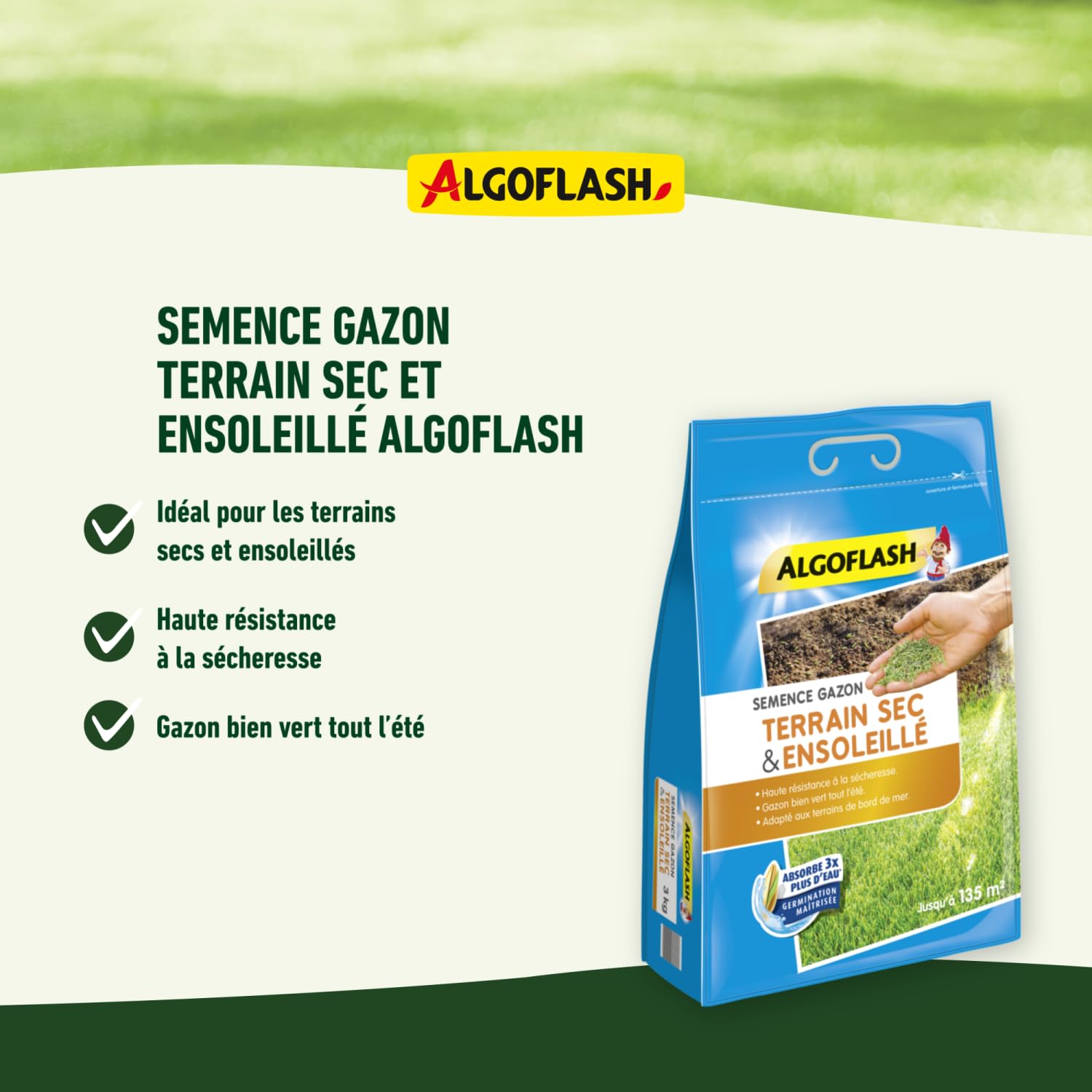 algoflash-semence-gazon-terrain-sec-et-ensoleill-1-kg-semsol1 image 2