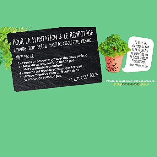 orbio-terreau-plantes-aromatiques-obitcaro3-3-l image 7