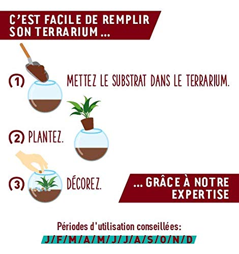 or-brun-terreau-terrarium-4-l-fin-et-r-tenteur-d-eau-pour-plantes-de-terrarium image 8