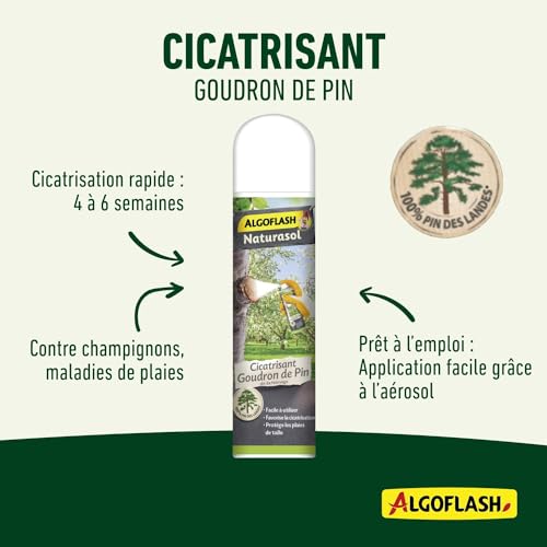 algoflash-naturasol-a-rosol-cicatrisant-goudron-de-pin-300-ml image 7