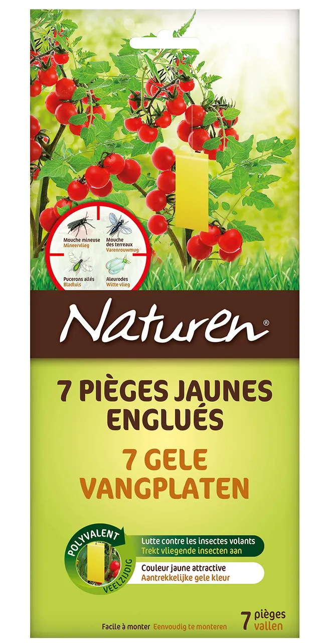 fertilig-ne-naturen-pi-ges-jaunes-englu-s-anti-insectes-volants-npjaune-x7 image 1