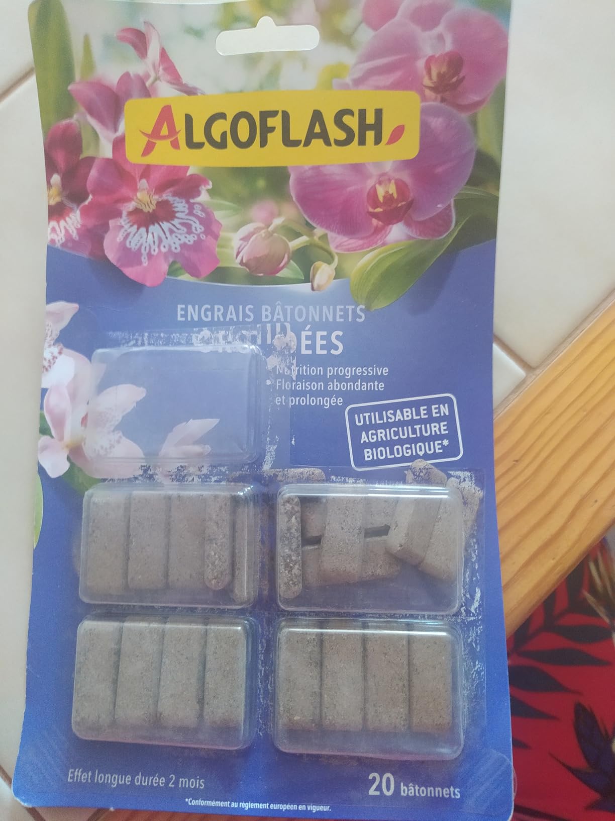 Mes orchidées refleurissent enfin