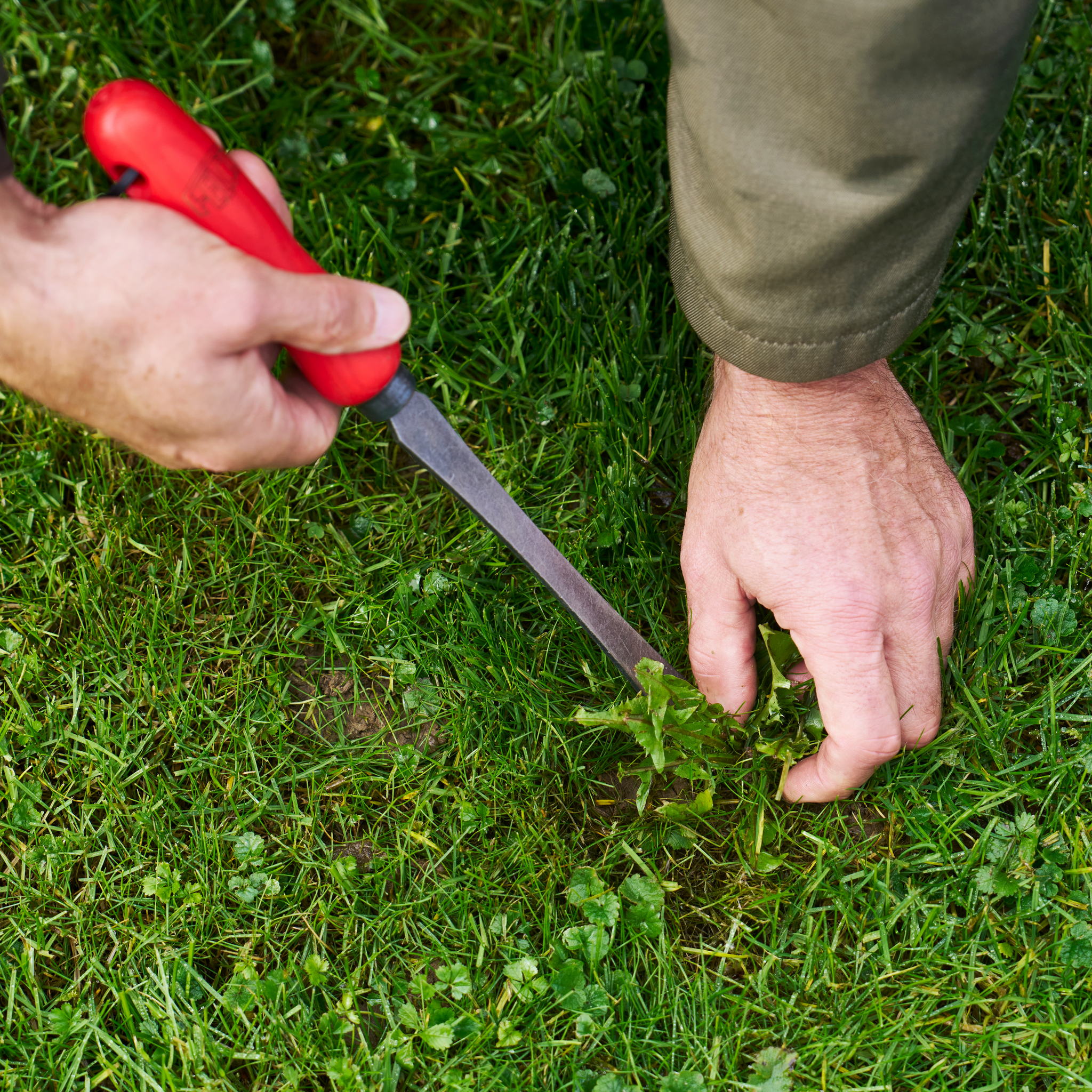felco-442-hachette-de-jardin-forg-e-acier-au-bore-manche-fr-ne-fsc image 3