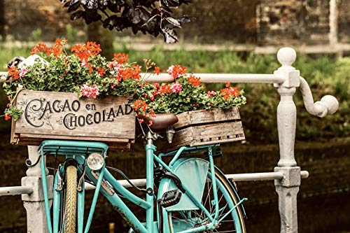 or-brun-engrais-granul-s-g-raniums-650-g-floraison-or-activ image 7