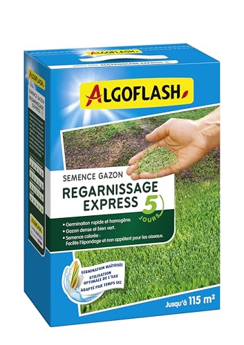 algoflash-semences-gazon-regarnissage-express-5-jours-2-5-kg image 7
