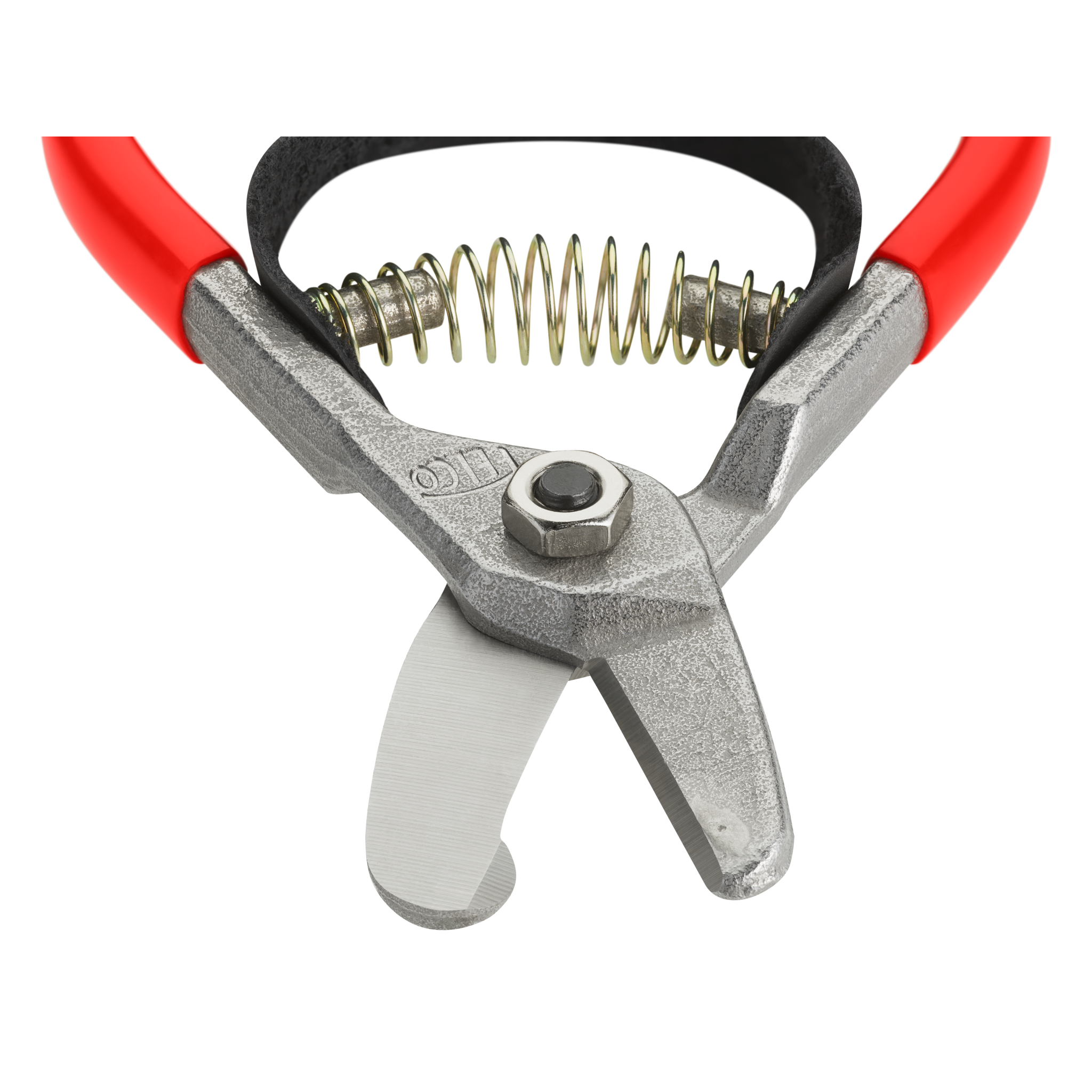 felco-331-cisaille-pour-avocats-bypass-lames-droites image 2