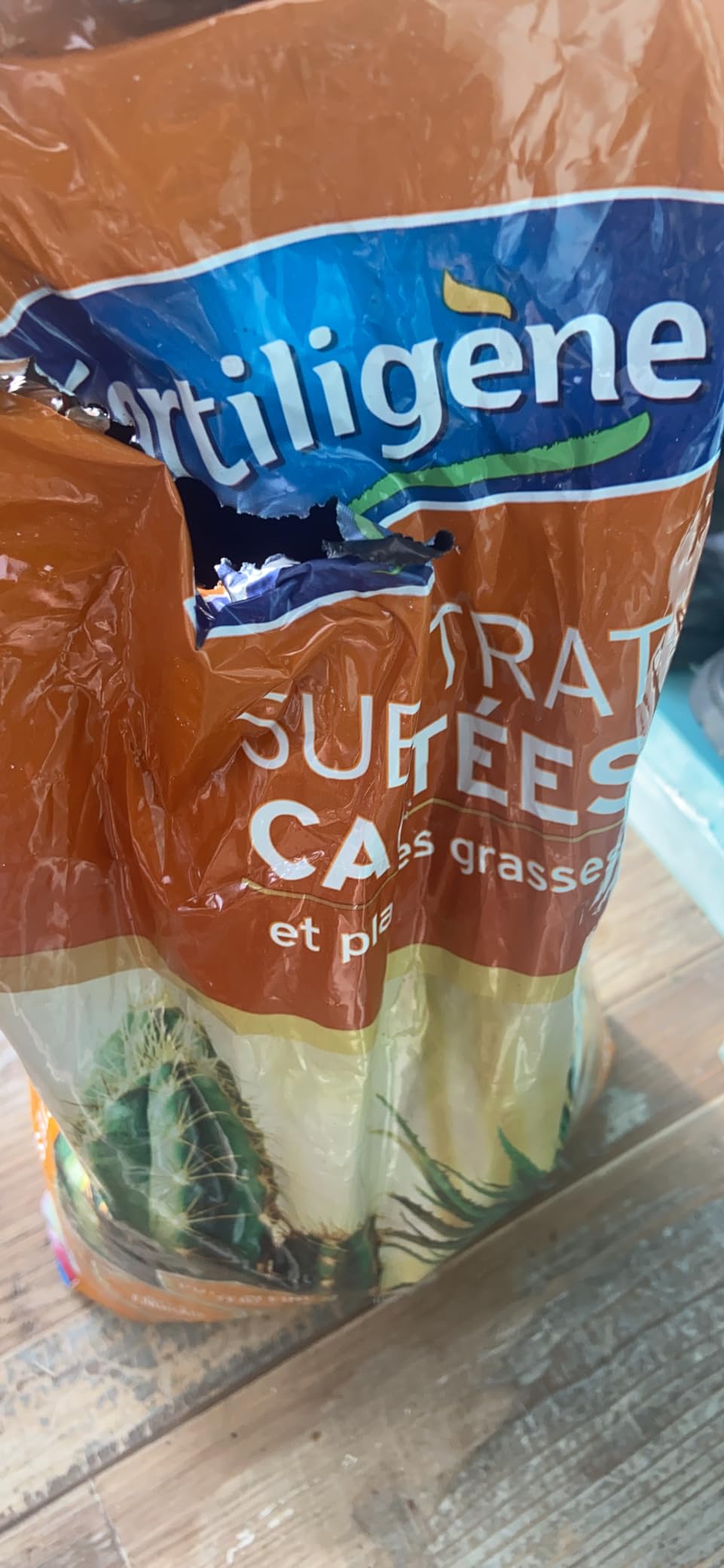 Idéal pour mes succulentes