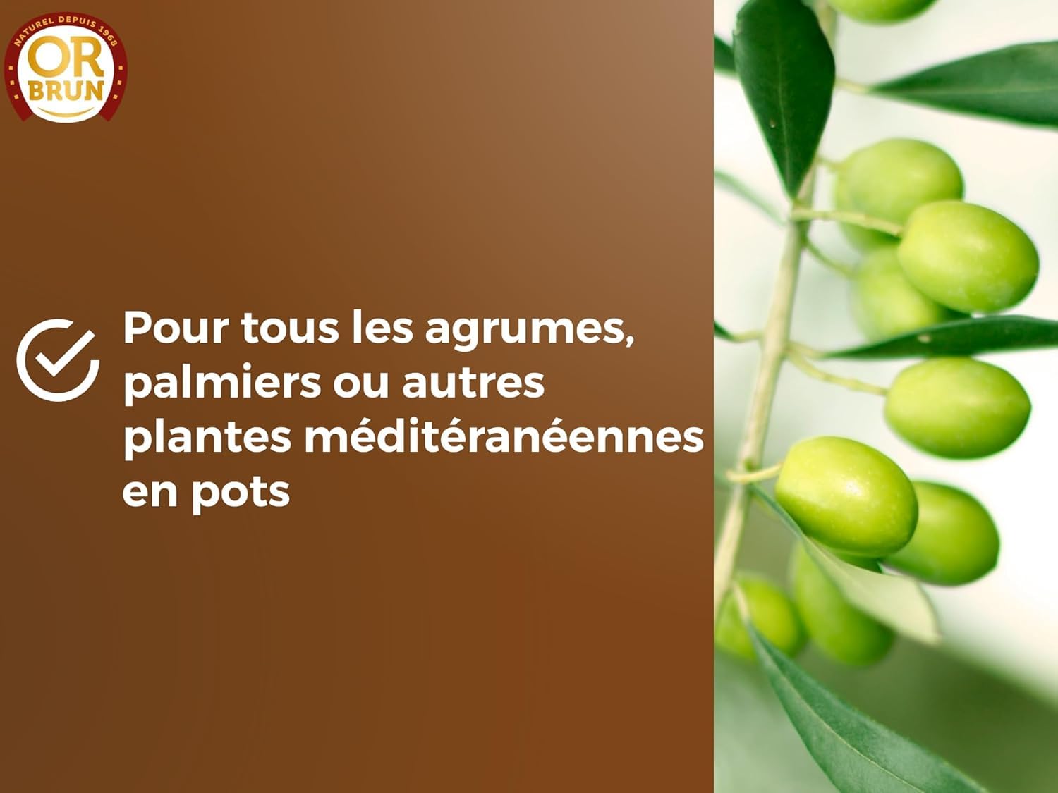 or-brun-terreau-agrumes-20-l-drainant-pouzzolane-citronniers-en-pot image 5