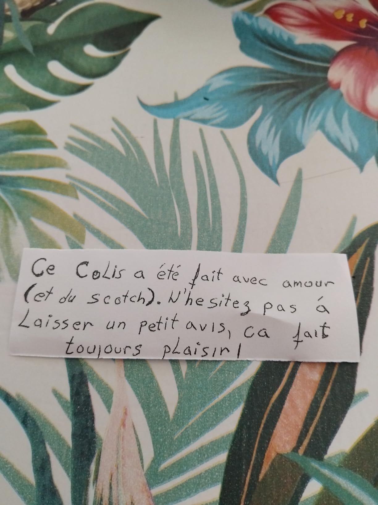 Rosiers sauvés de l'oïdium