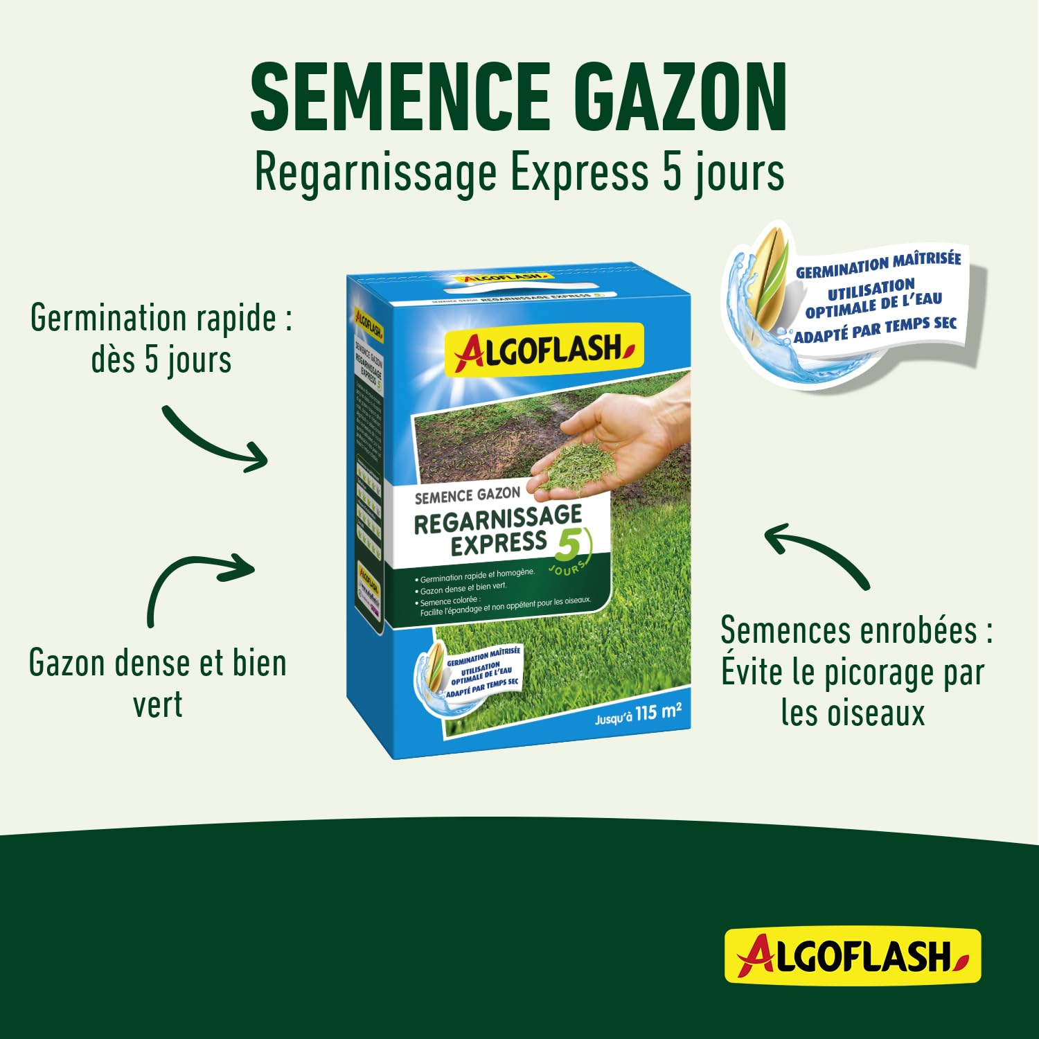 algoflash-semences-gazon-regarnissage-express-5-jours-2-5-kg image 2