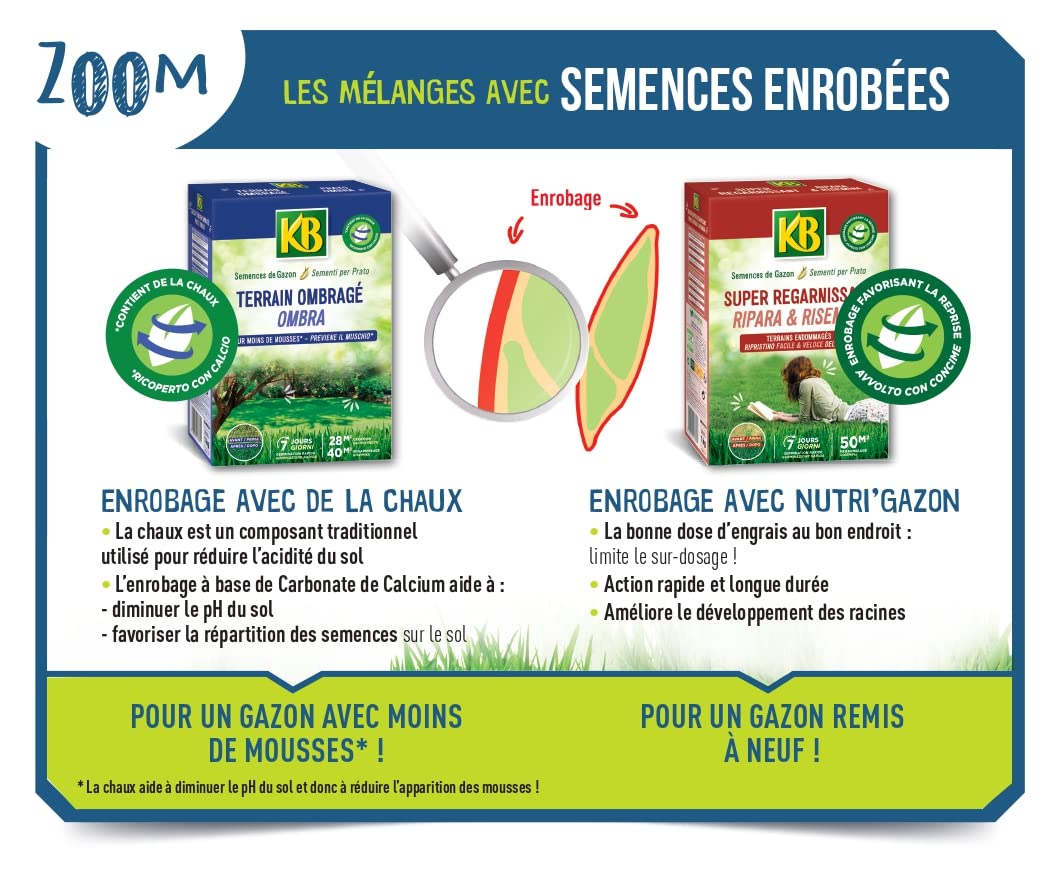 fertilig-ne-gazon-super-regarnissant-5-kg-pour-250-m image 3