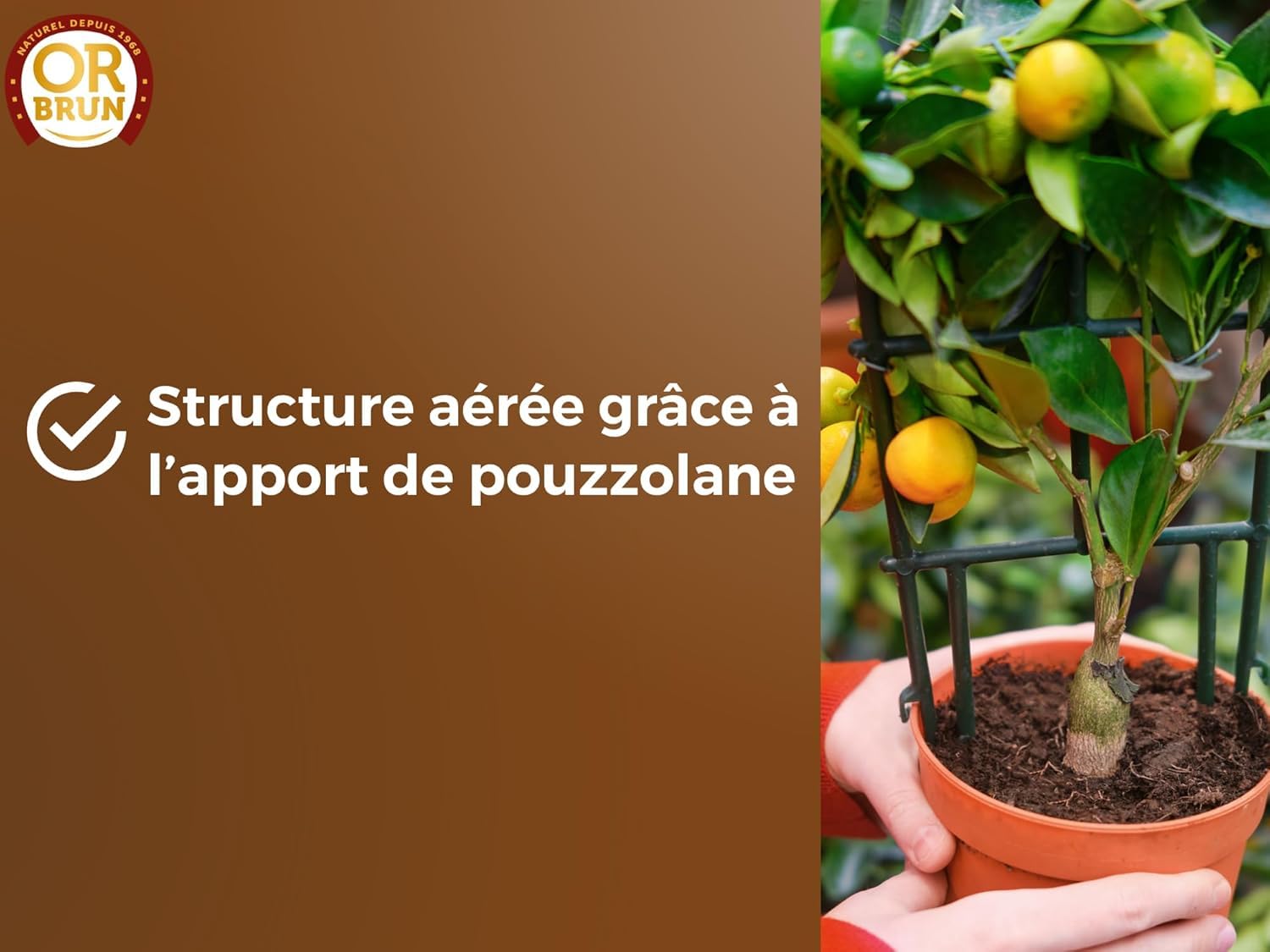 or-brun-terreau-agrumes-20-l-drainant-pouzzolane-citronniers-en-pot image 3