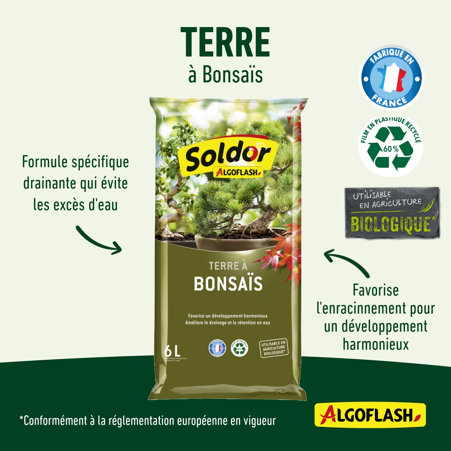 algoflash-tbonz6-terre-bonsa-s-pr-t-l-emploi-6-l-uab image 4