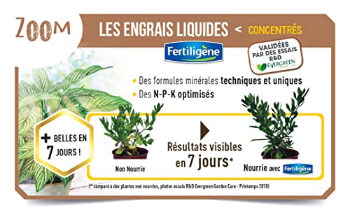 fertilig-ne-engrais-liquide-fleurs-balcons-et-terrasses-400-ml image 6