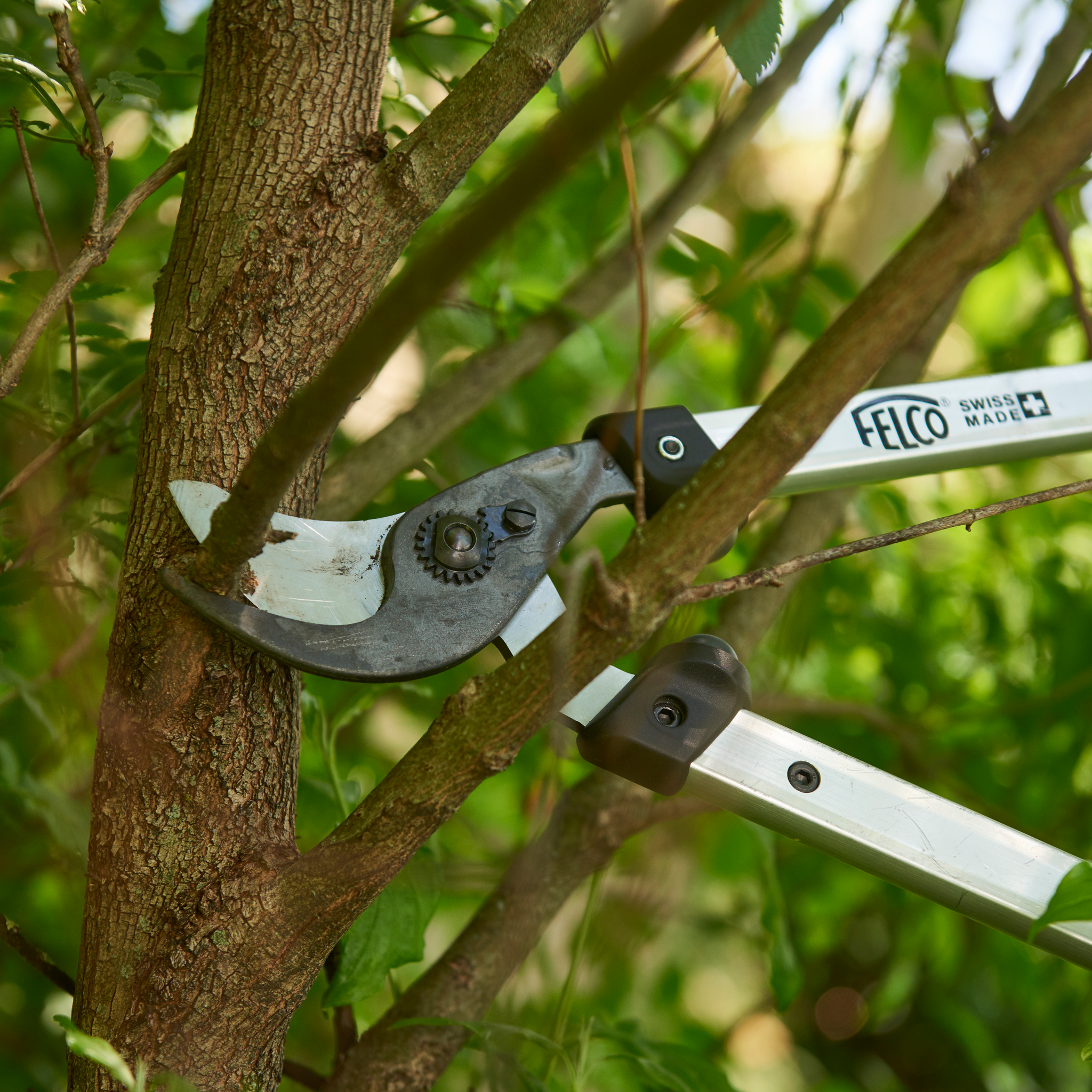 felco-211-50-brancheur-coupe-branches-t-te-tirante image 4