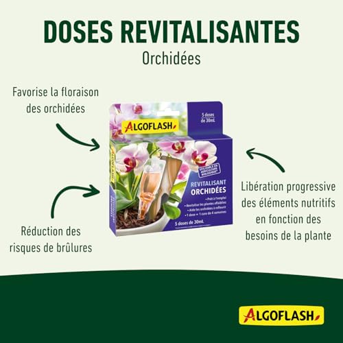 algoflash-monodose-revitalisante-orchid-es-5-x-30-ml image 7