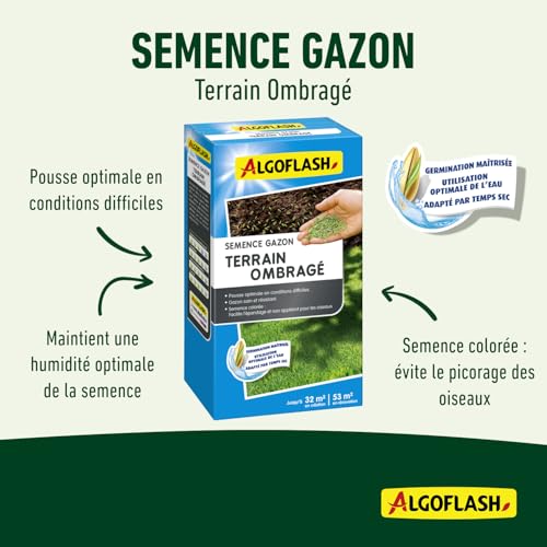 algoflash-semences-gazon-terrain-ombrag-800-g image 6