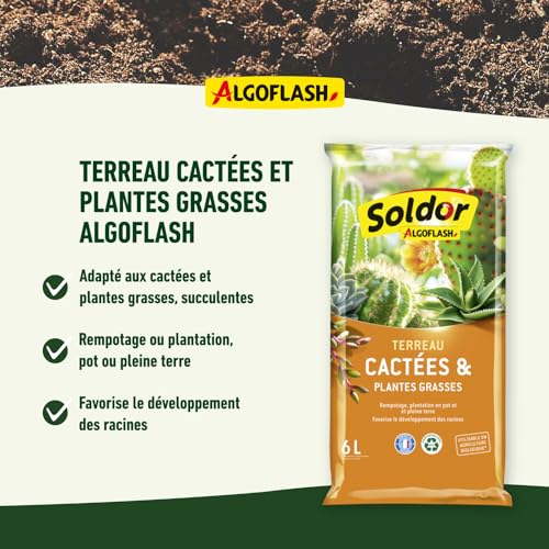 algoflash-terreau-cact-es-et-plantes-grasses-uab-6-l-tcac6 image 8