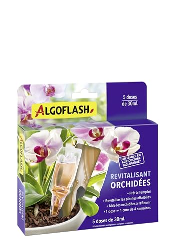 algoflash-monodose-revitalisante-orchid-es-5-x-30-ml image 5