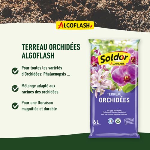 algoflash-torch6-terreau-orchid-es-uab-6-l image 8
