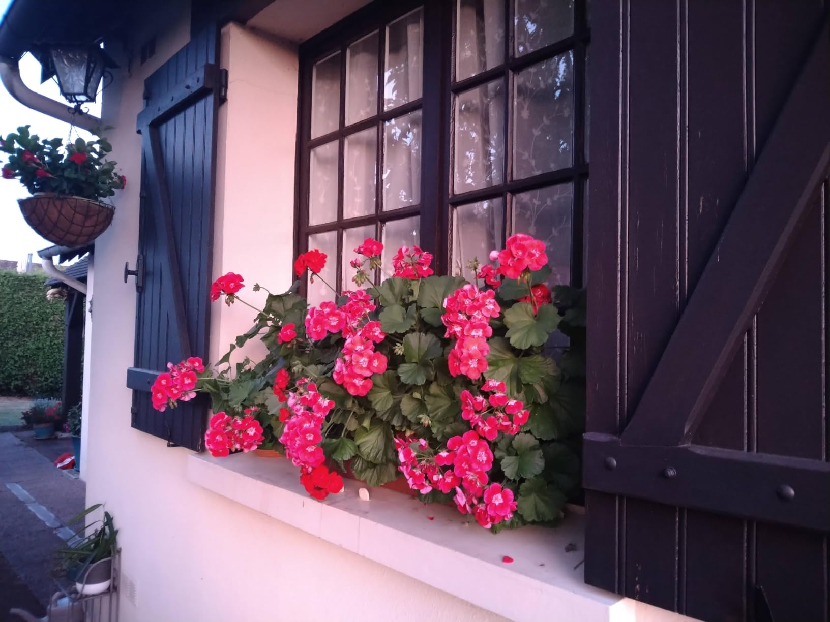 Très efficace sur balcon sud