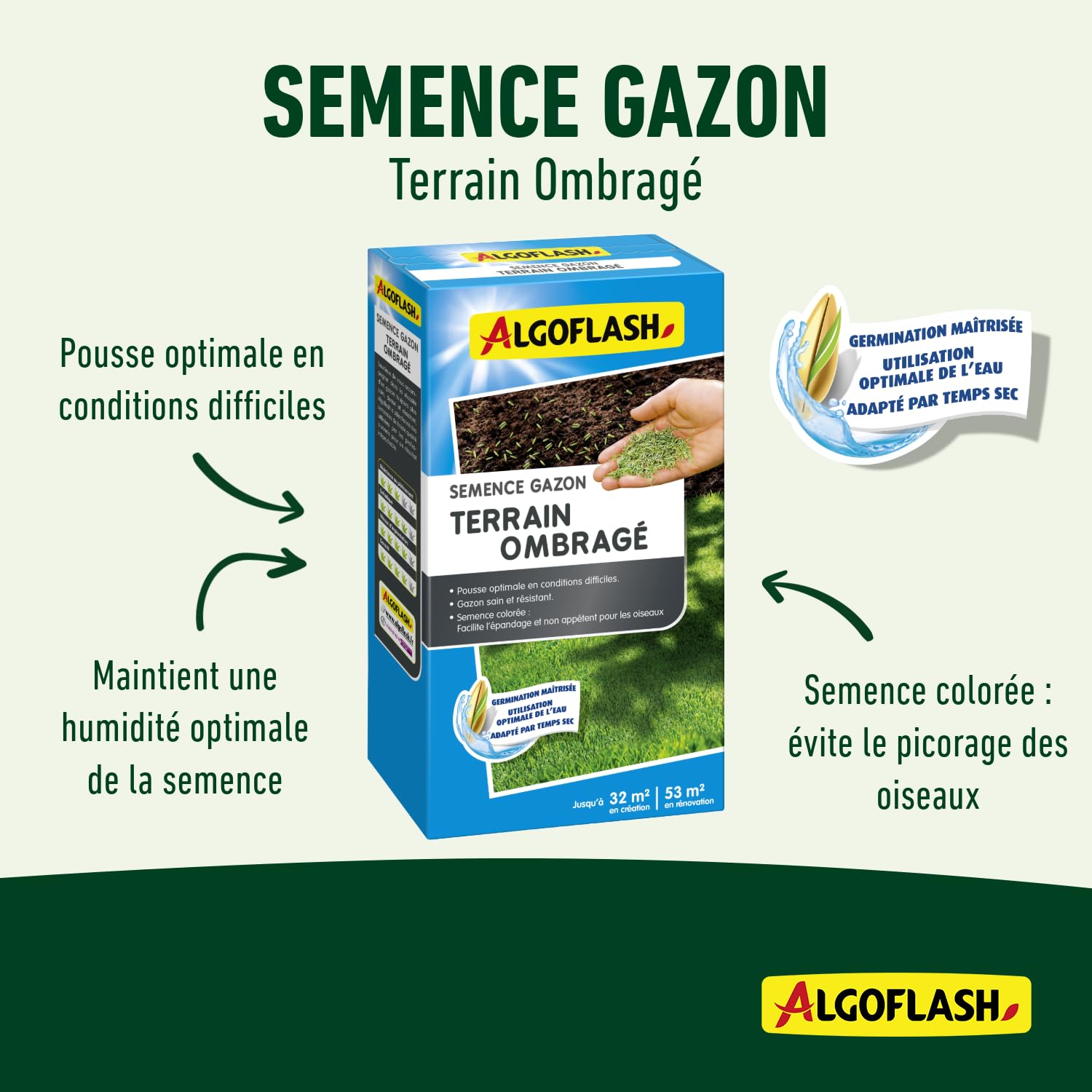 algoflash-semences-gazon-terrain-ombrag-800-g image 2